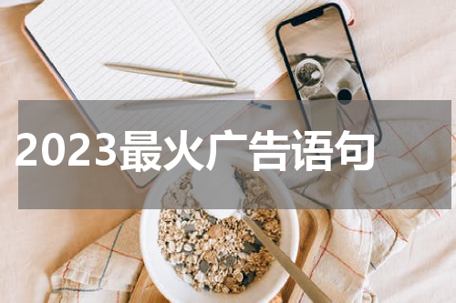2023最火广告语句