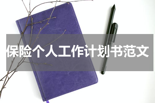 保险个人工作计划书范文