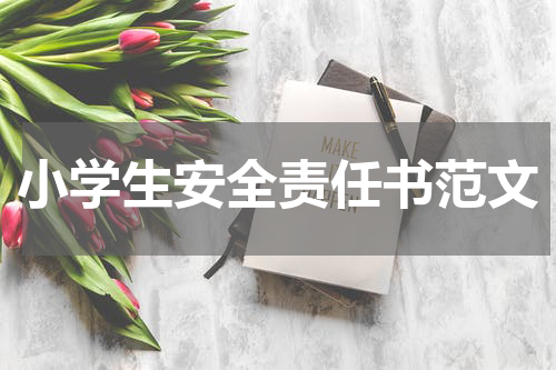 小学生安全责任书范文