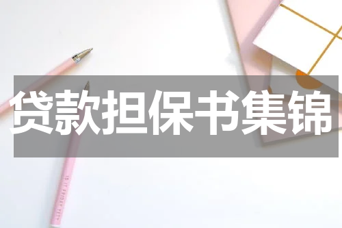 贷款担保书集锦