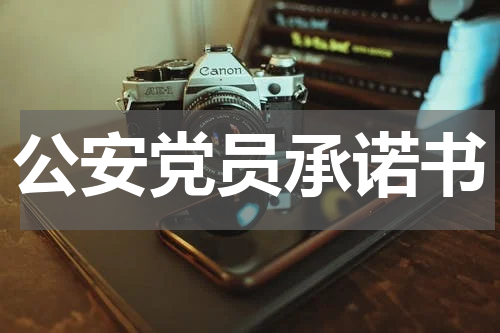 公安党员承诺书
