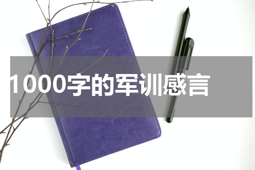 1000字的军训感言