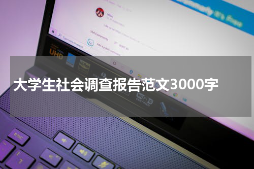 大学生社会调查报告范文3000字