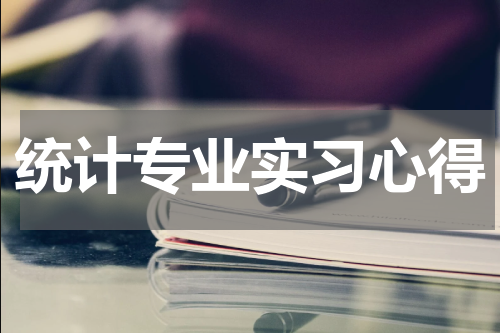 统计专业实习心得