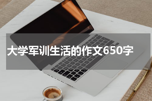 大学军训生活的作文650字