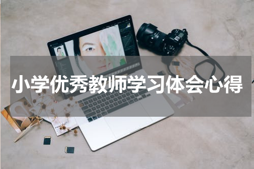 小学优秀教师学习体会心得