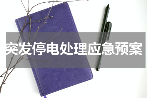 突发停电处理应急预案