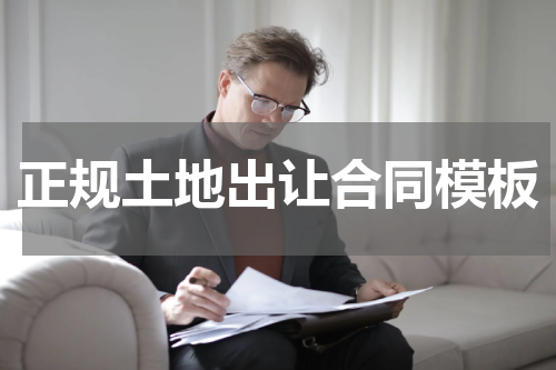 正规土地出让合同模板