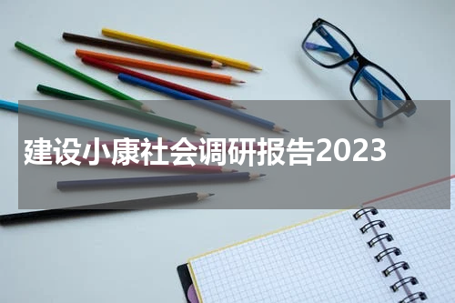 建设小康社会调研报告2023