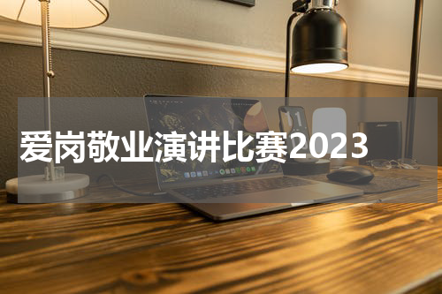 爱岗敬业演讲比赛2023