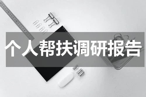 个人帮扶调研报告