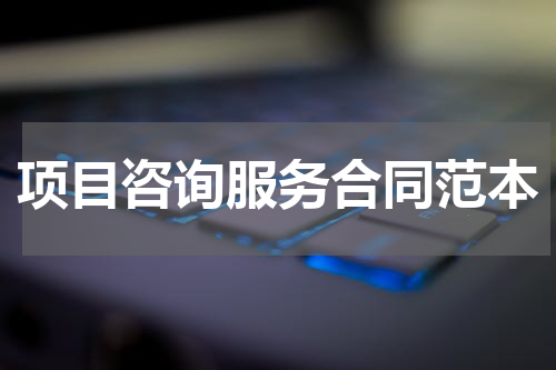 项目咨询服务合同范本