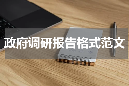 政府调研报告格式范文