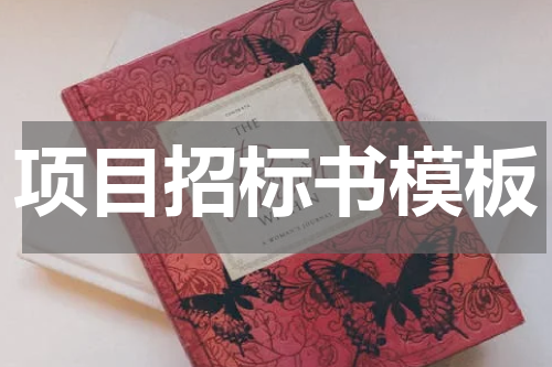 项目招标书模板