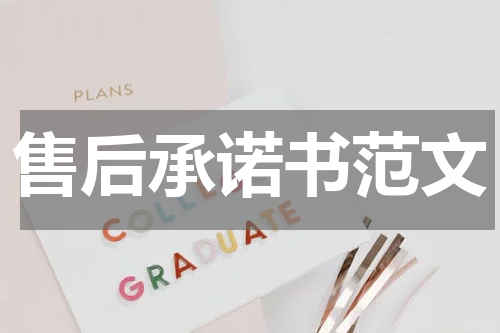 售后承诺书范文