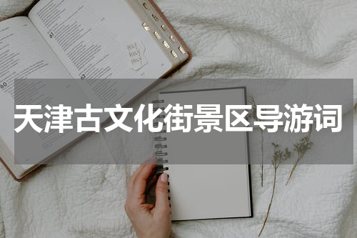 天津古文化街景区导游词