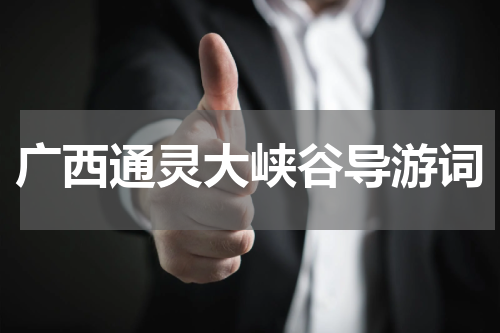 广西通灵大峡谷导游词