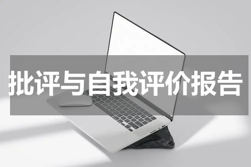 批评与自我评价报告