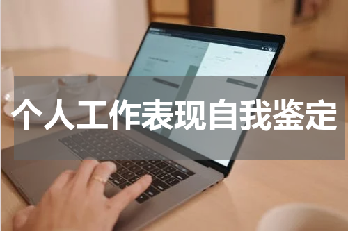 个人工作表现自我鉴定