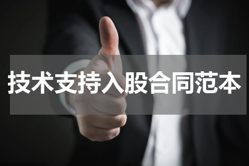 技术支持入股合同范本