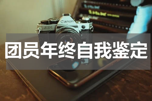 团员年终自我鉴定