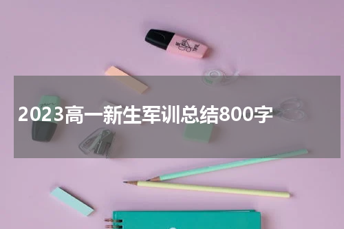 2023高一新生军训总结800字