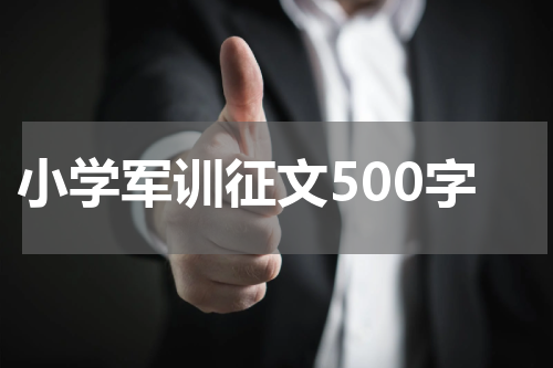 小学军训征文500字