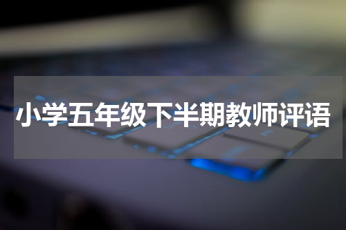 小学五年级下半期教师评语