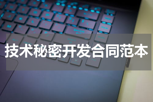 技术秘密开发合同范本