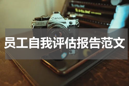 员工自我评估报告范文