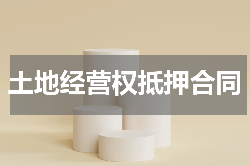 土地经营权抵押合同