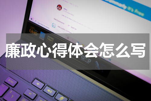 廉政心得体会怎么写