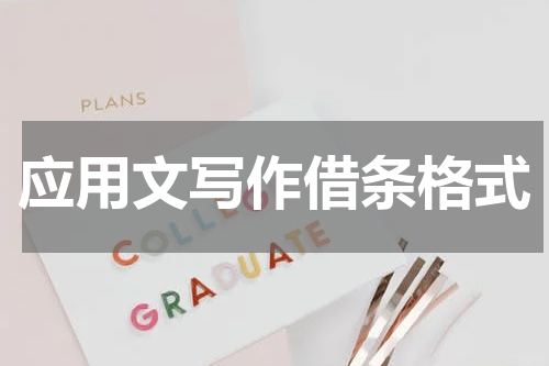 应用文写作借条格式