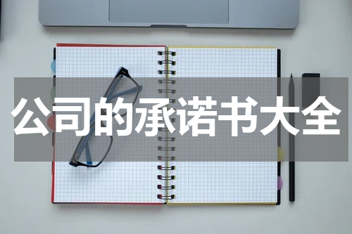 公司的承诺书大全