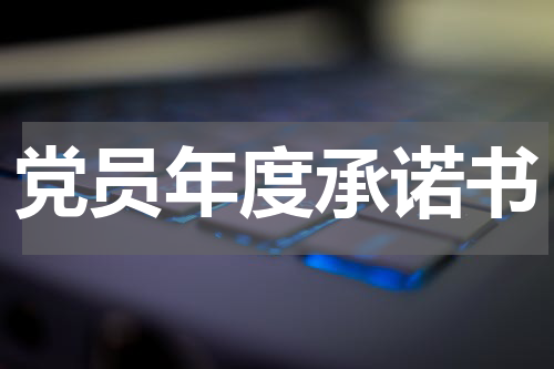 党员年度承诺书