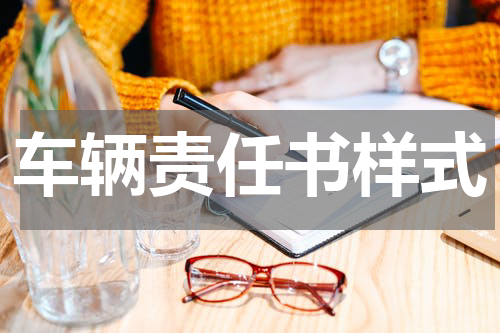 车辆责任书样式