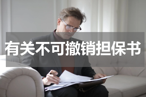 有关不可撤销担保书