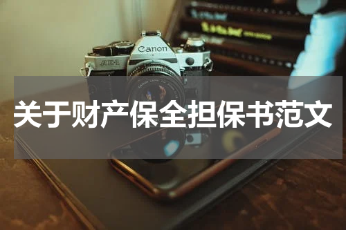 关于财产保全担保书范文