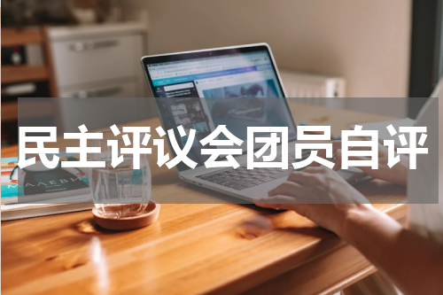 民主评议会团员自评
