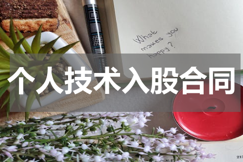 个人技术入股合同