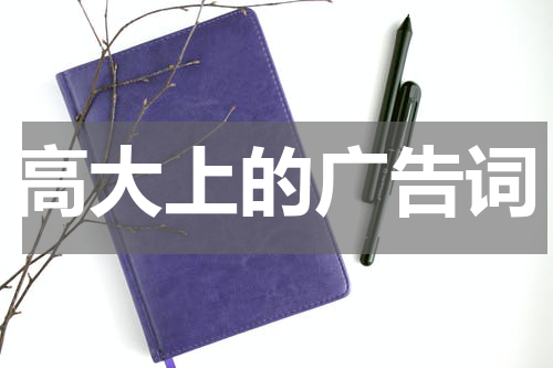 高大上的广告词