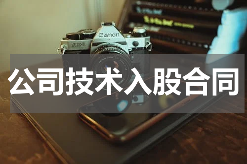 公司技术入股合同