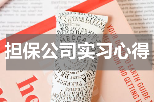担保公司实习心得