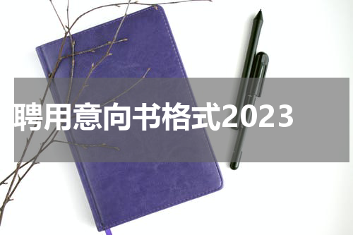聘用意向书格式2023