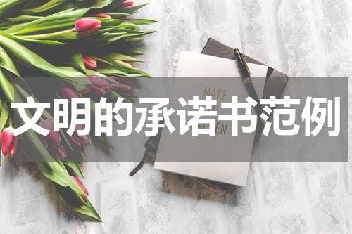 文明的承诺书范例