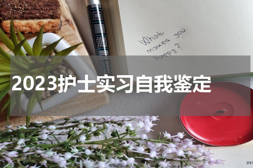 2023护士实习自我鉴定