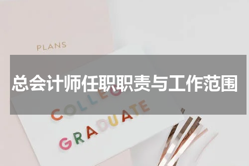 总会计师任职职责与工作范围