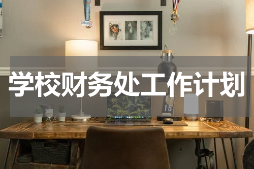 学校财务处工作计划