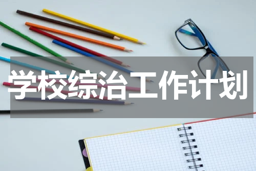 学校综治工作计划