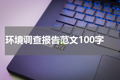 环境调查报告范文100字